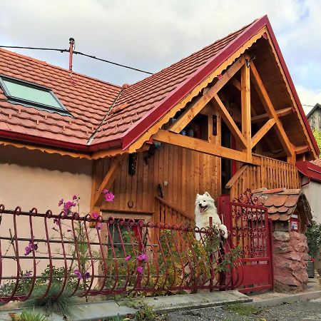 Gite Du Durrenbach Lautenbach 外观 照片