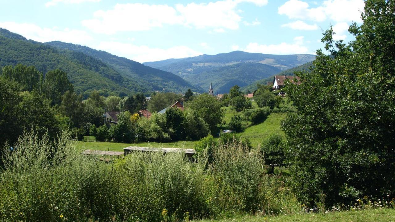 Gite Du Durrenbach Lautenbach 外观 照片